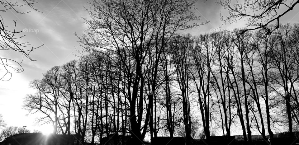 beautiful Oslo Norway