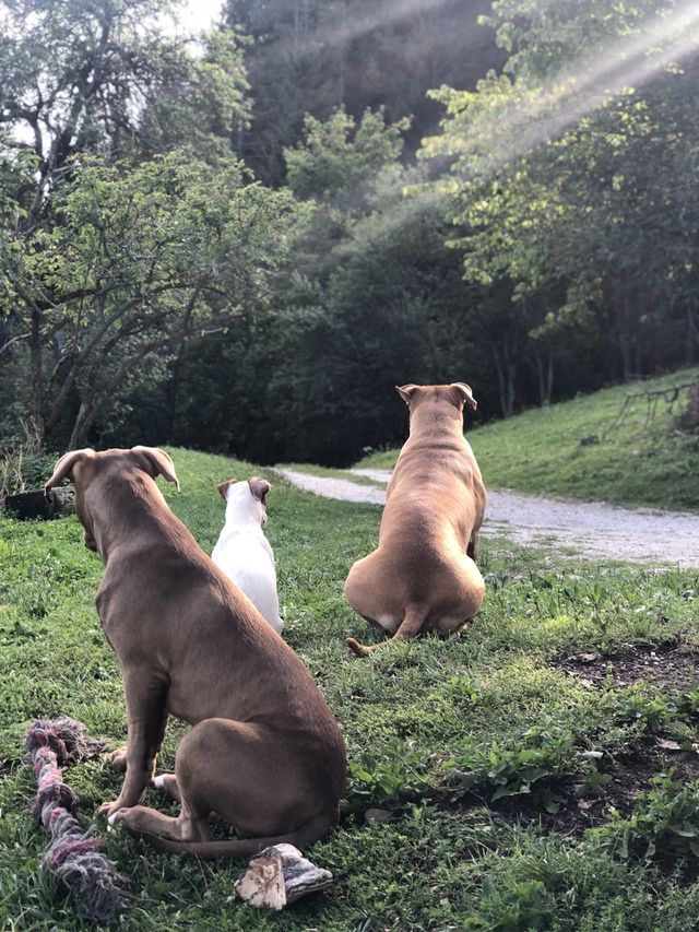 Our pack