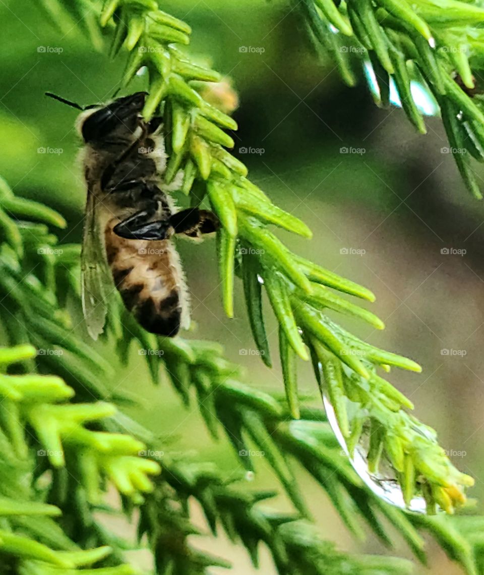 First Signs of Spring