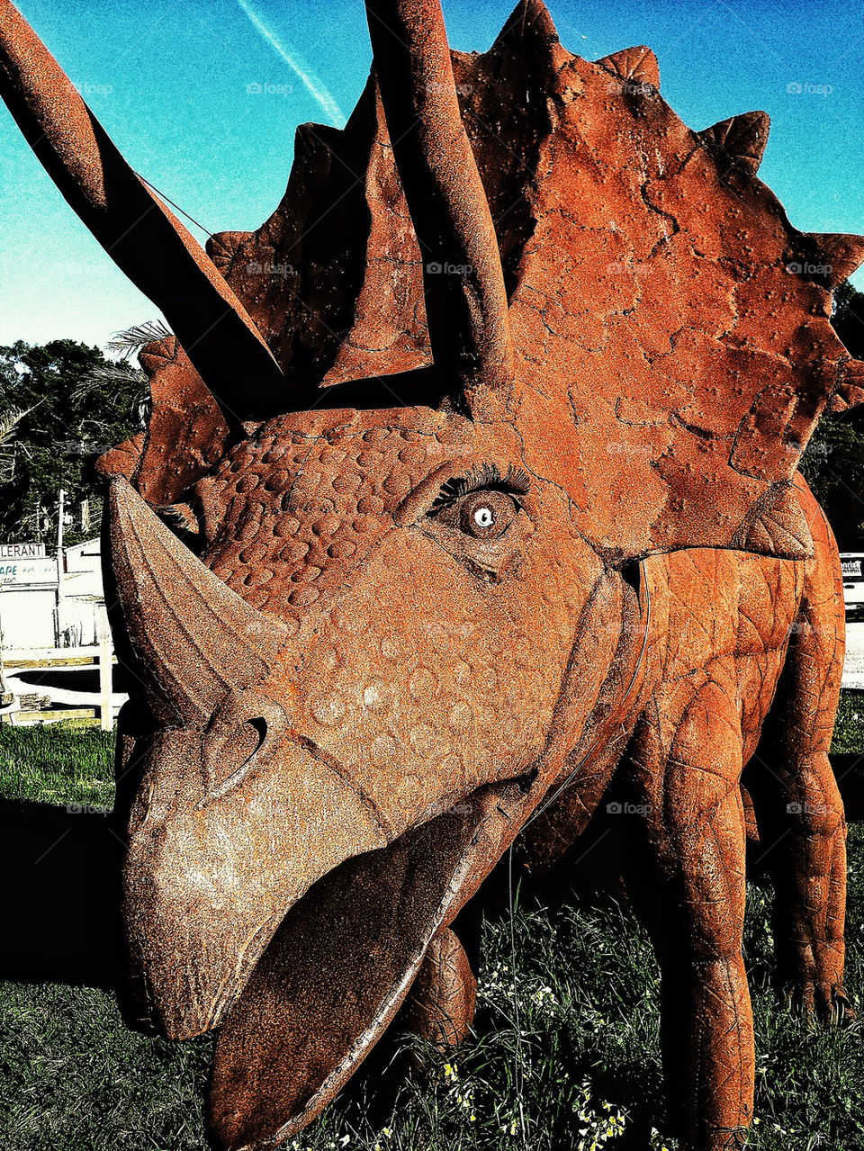 Funky and rusty huge triceratops dinosaur statue in California garden