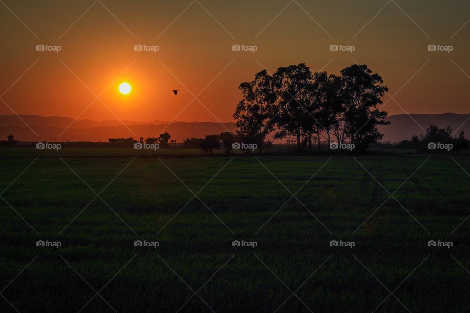 Atardecer en deltebre