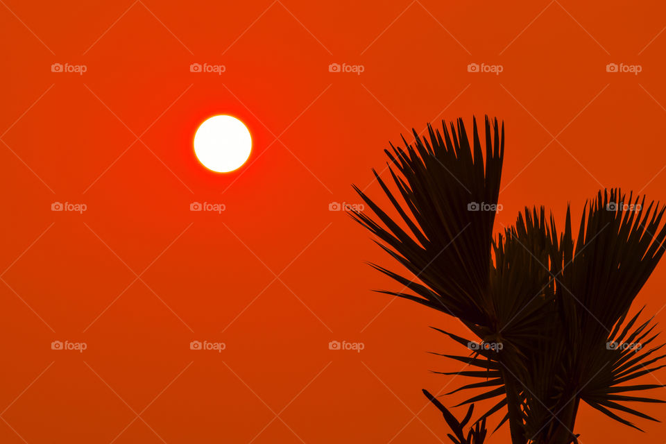 The color Orange stands for enthusiasm, creativity, encouragement and success.