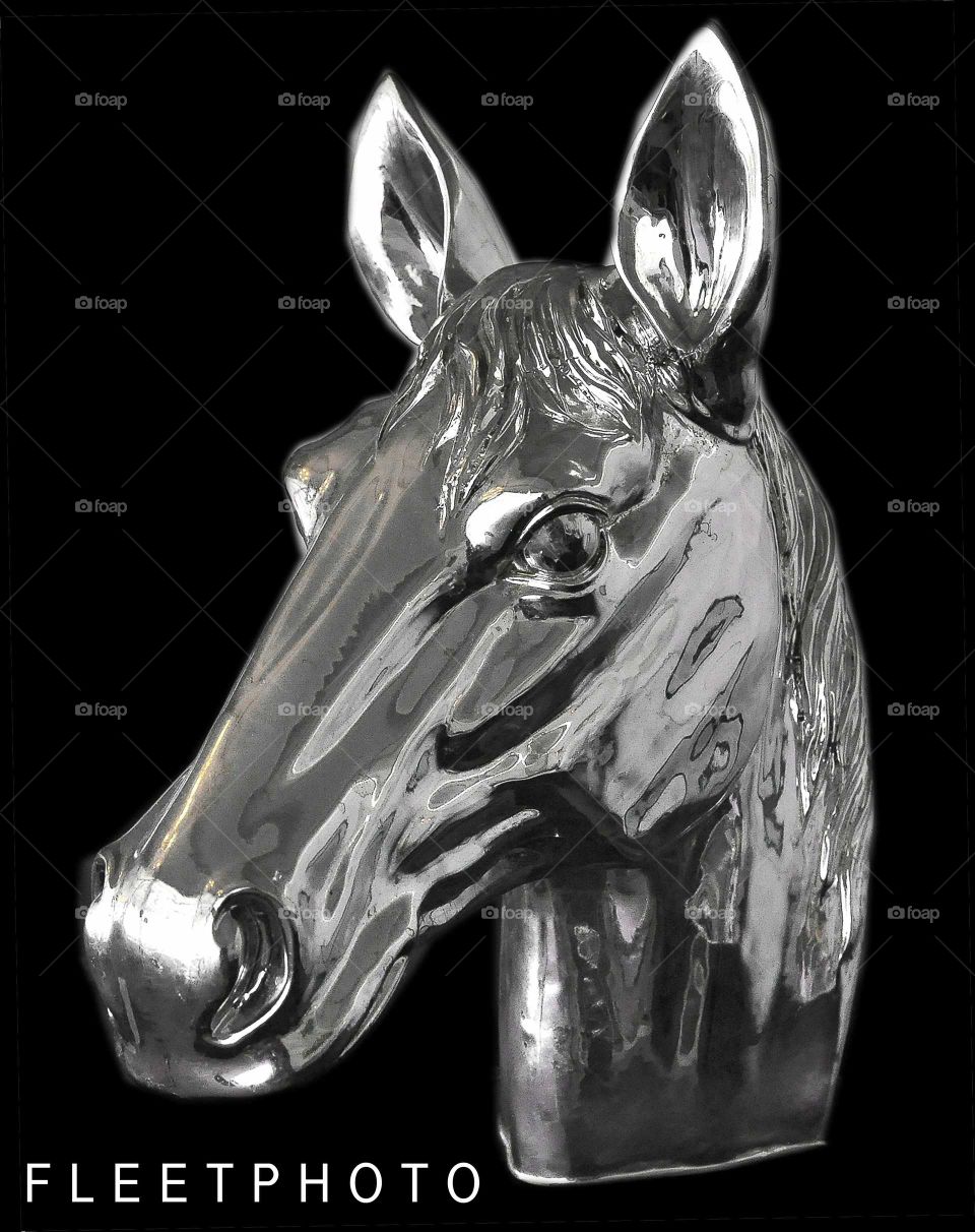 zazzle com/fleetphoto for great horse racing memorabilia.