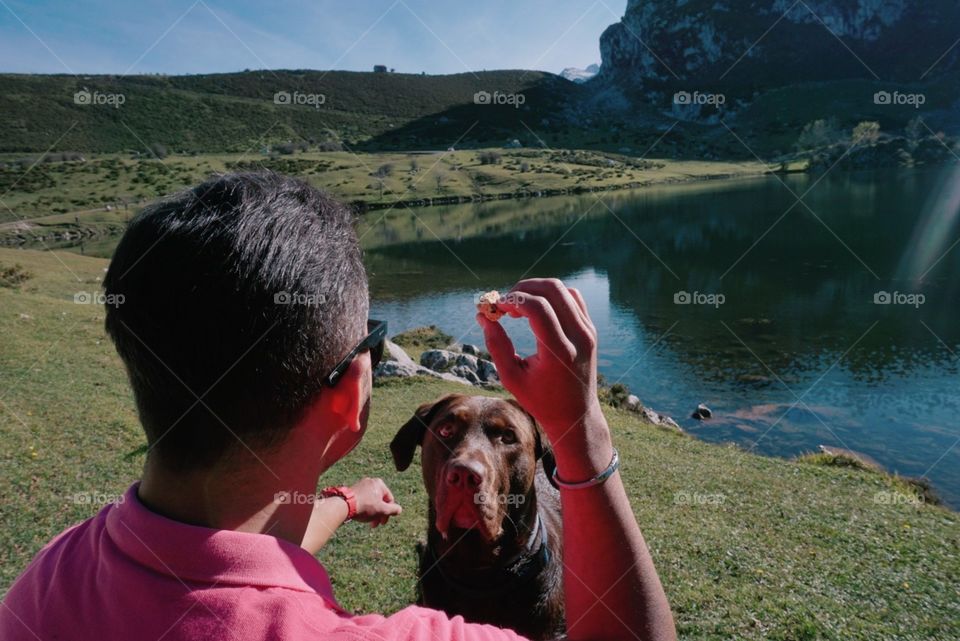 Lake#nature#human#dog#reflect#greengrass