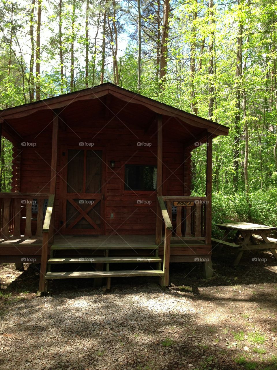 Getaway in the woods. 