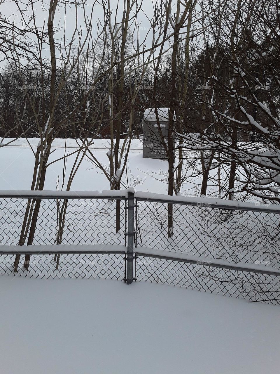 snow storm aftermath