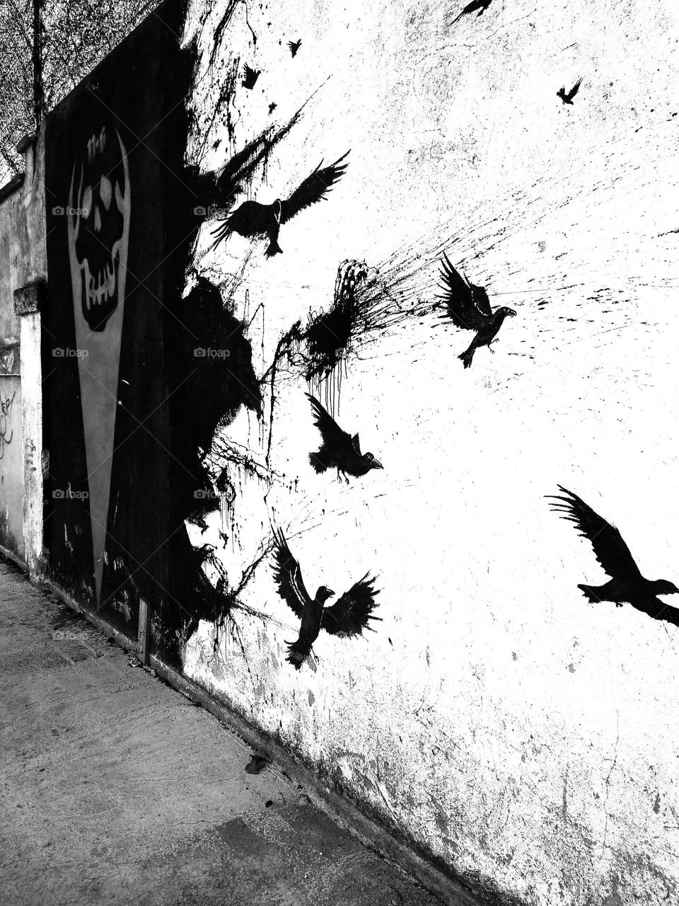 Editors' Choice - Photo of the Week