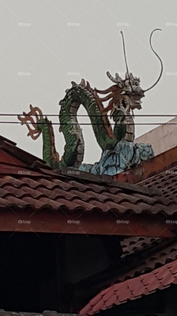 Dragon on Chinese Temple