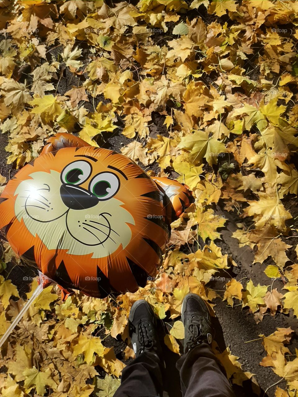 autumn selfie with a ball