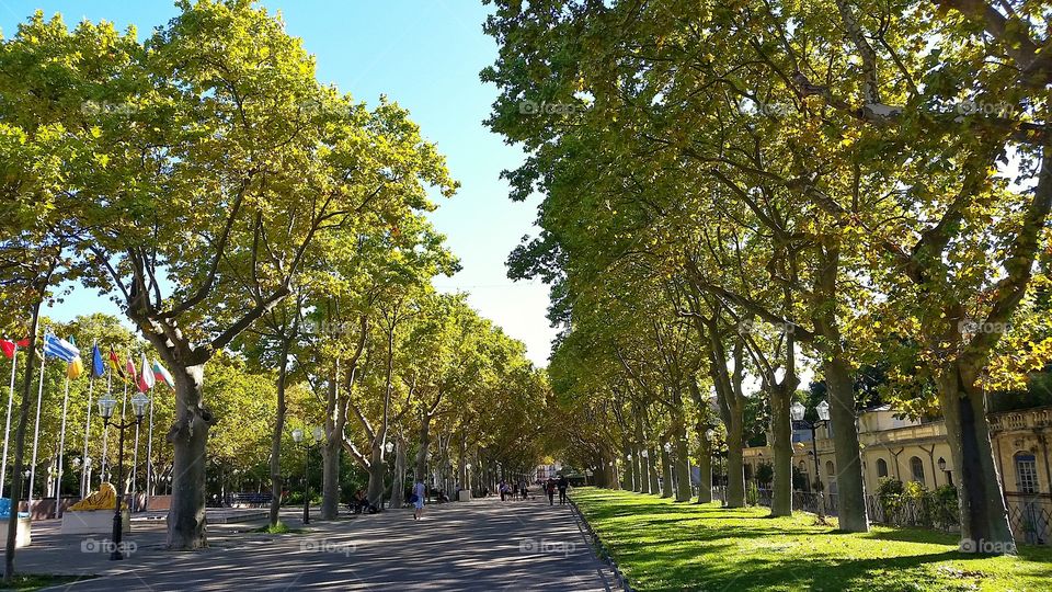 walking to Place de la Comedie in Montpellier, France