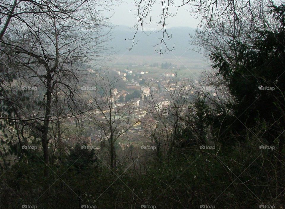 Mist in the mountains 