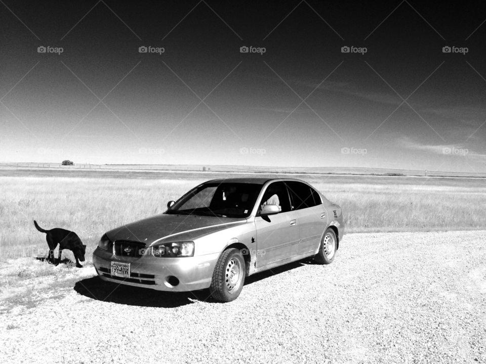 Taking a break from driving to romp around Saskatchewan 