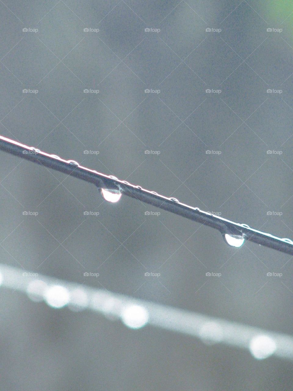 Close-up of water drops hanging on a string with blurred background in low angle view