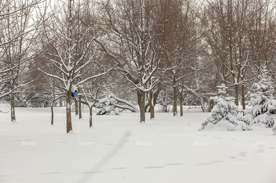 Winter, cold, ground under snow, house for birds, who is important.