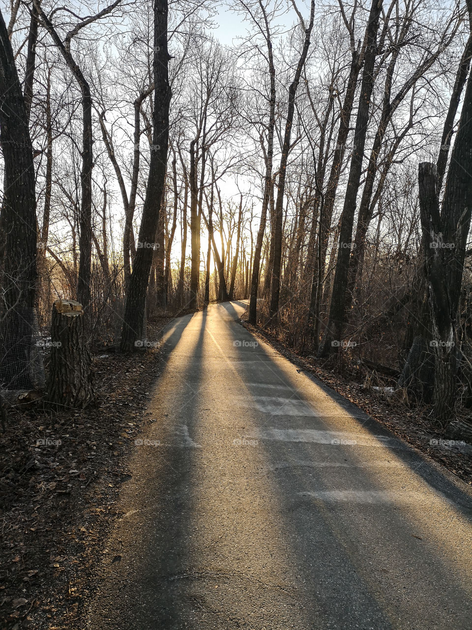 sunrise on a path in Calgary, Alberta, Canada