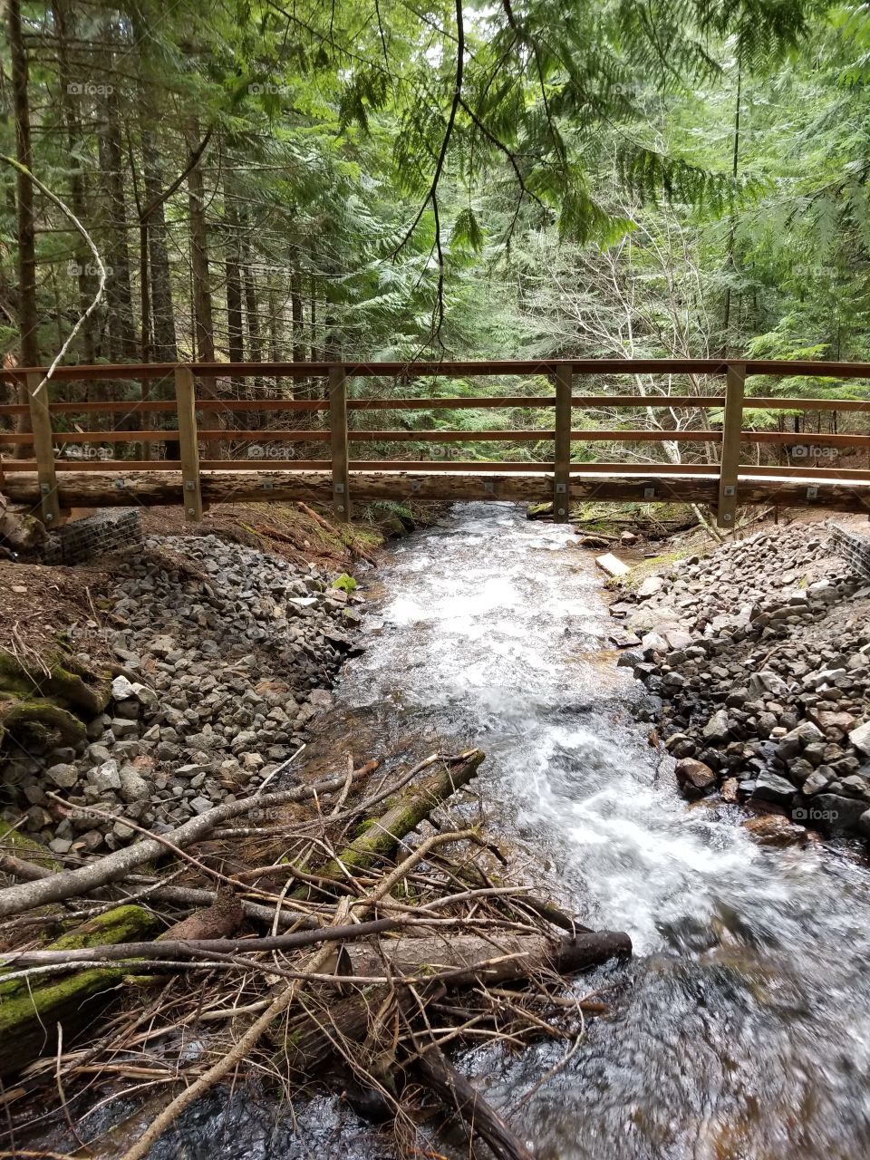wooden bridge over a flowing creek with rocks, sticks and green foliage on a hike in the woods