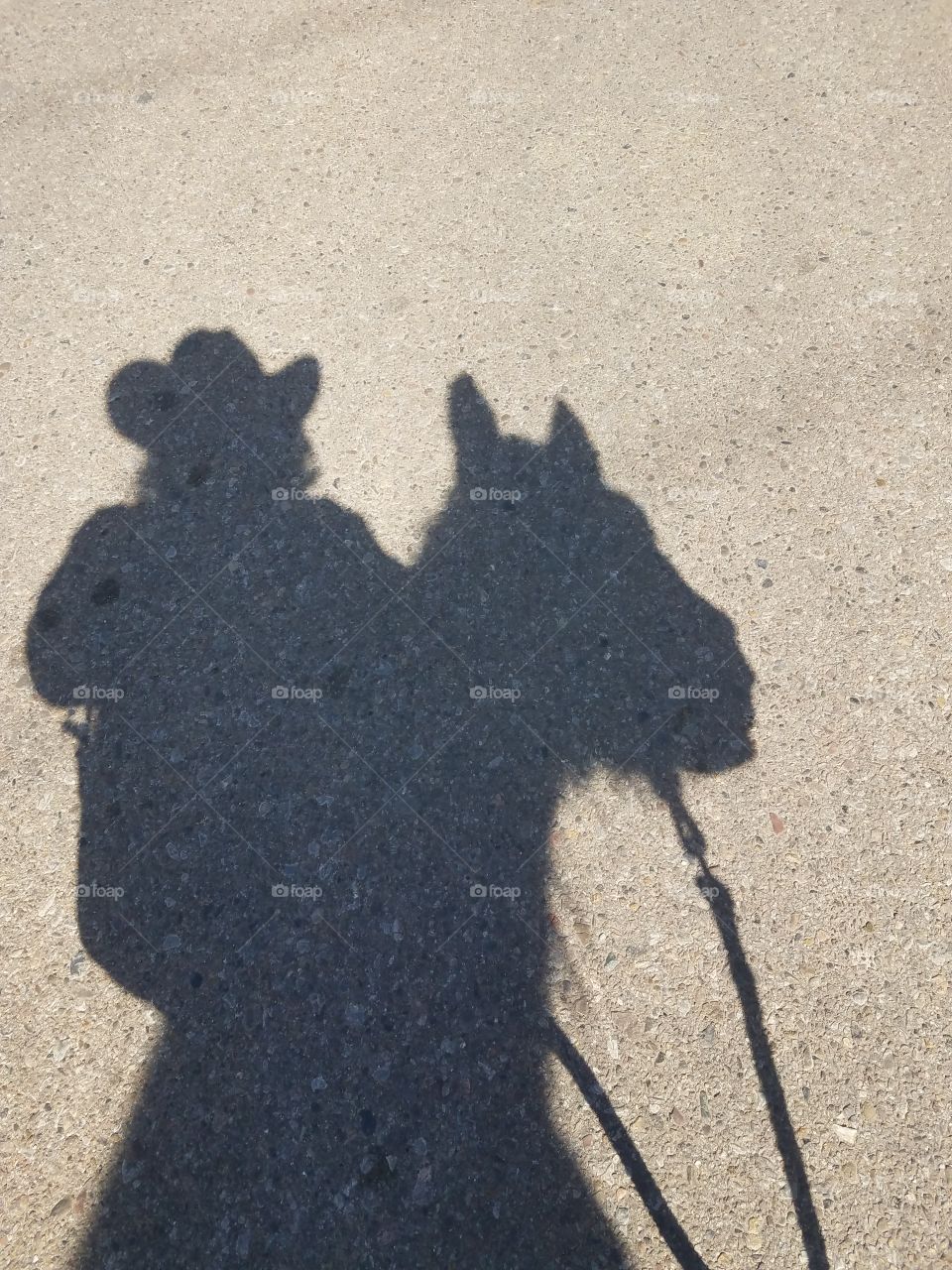 cowgirl and horse shadow