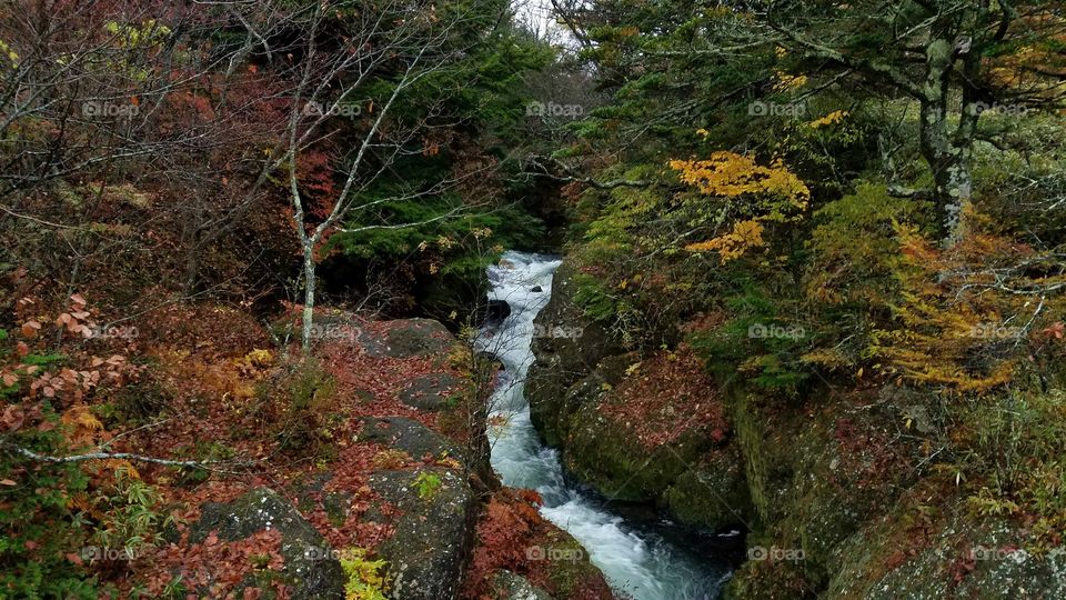 Fall water streams