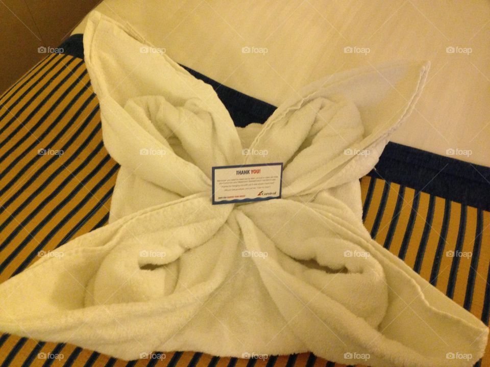Cruise towel animal