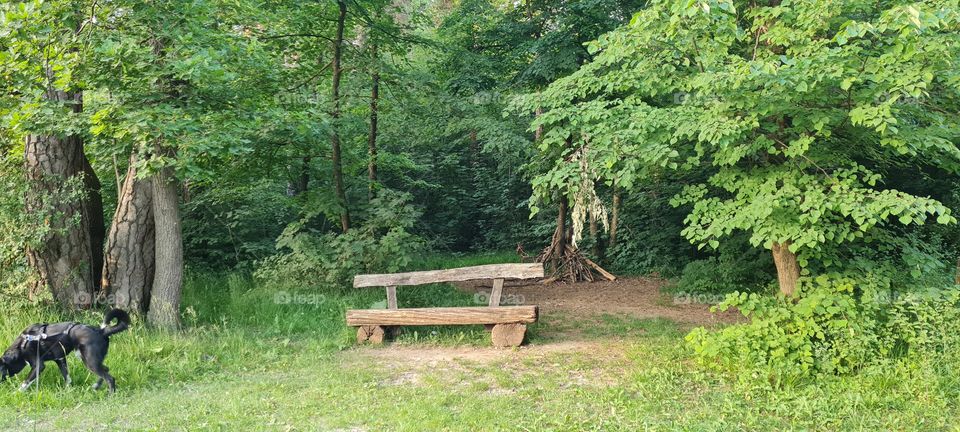 Bench