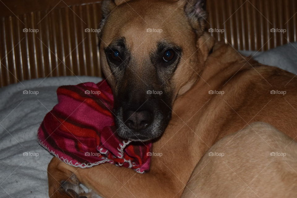 please dont take my blanket