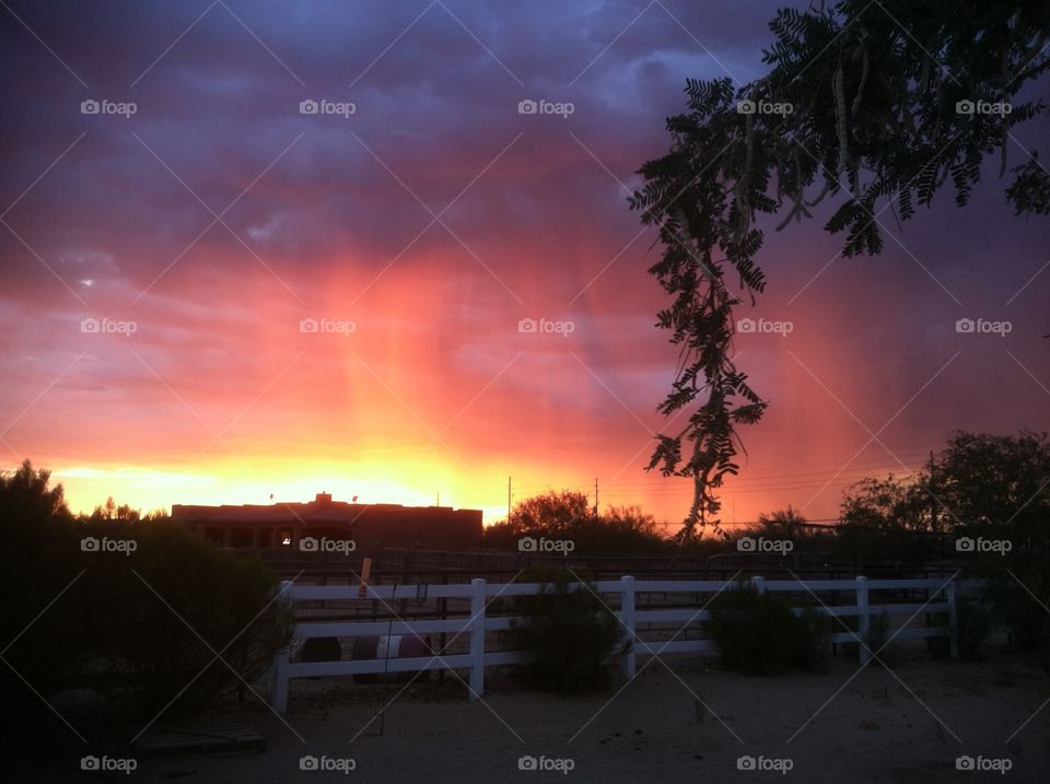 Colorful sunset with mesquite tree foreground.