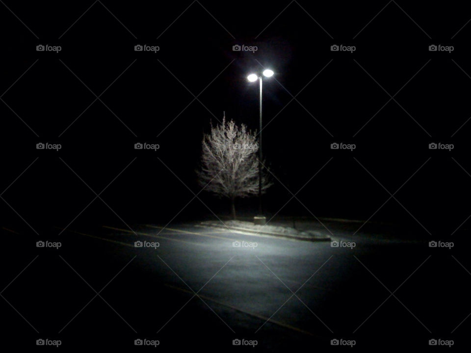 alone tree night empty by rkasak