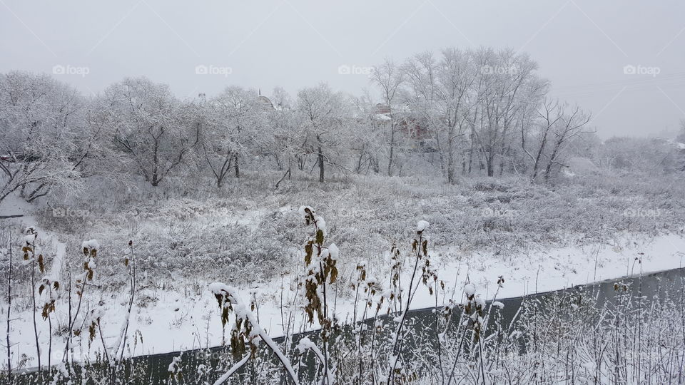 Winter nature