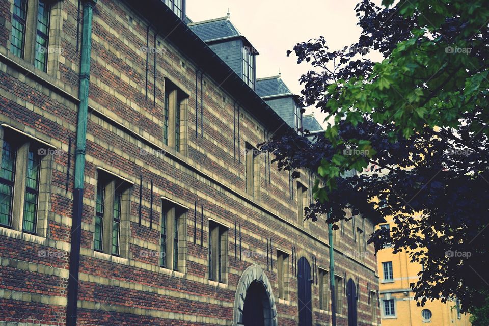 Old building in Antwerp