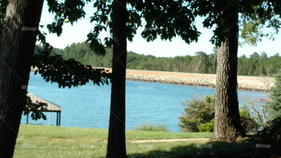 Tree, No Person, Wood, Landscape, Outdoors