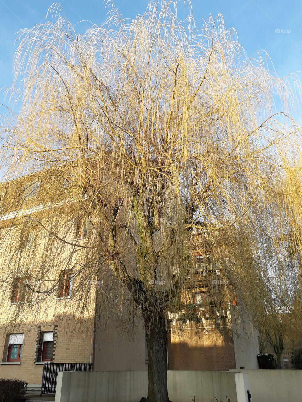 résidence planche epinoy