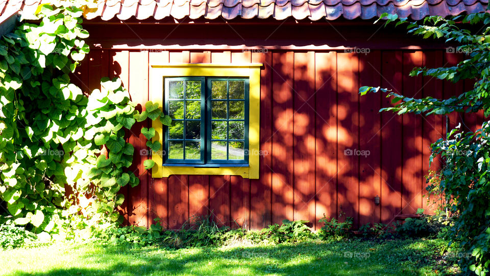 View of a house