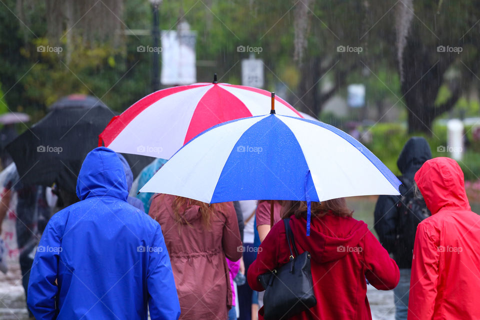 Group of people walking in the rain with their umbrellas in Florida. 