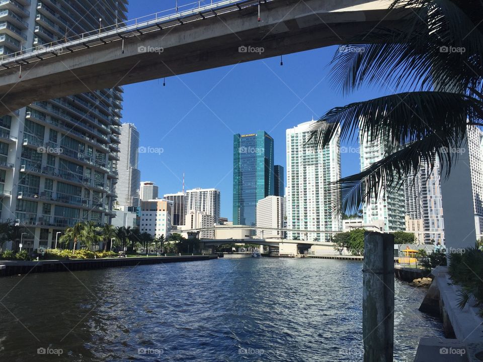 Miami River