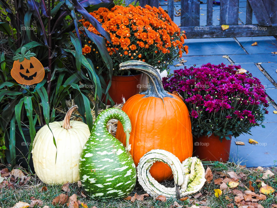 Seeing Autumn Pumpkin Decorations