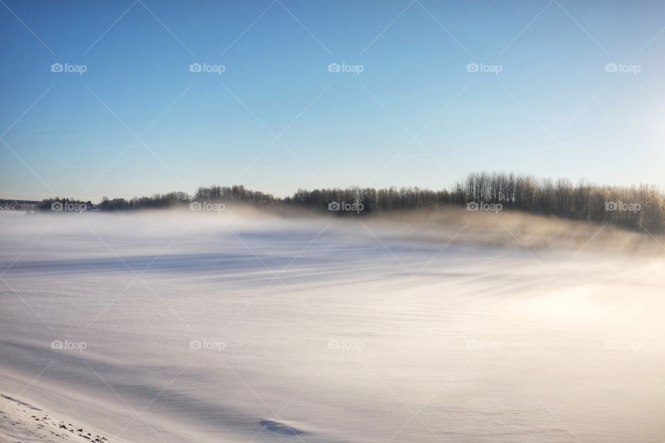 Winter, Snow, Landscape, Fog, Cold