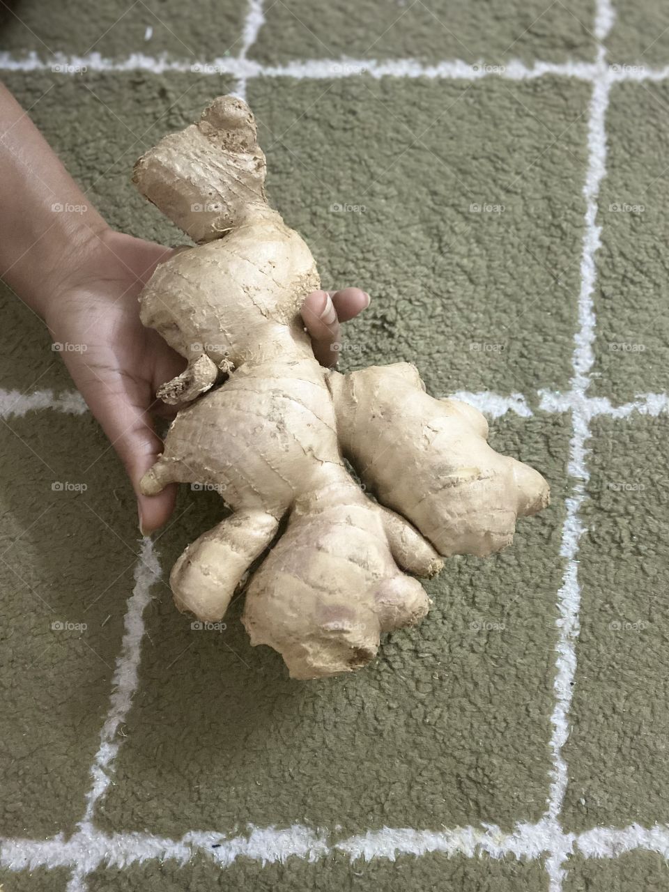 Beautiful and amazing big ginger 