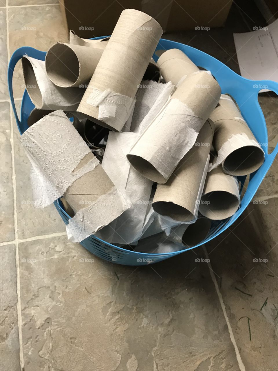 Empty Toilet paper rolls