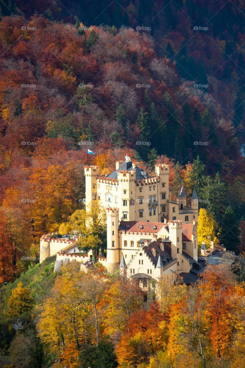 Neuschwanstein castle during autumn