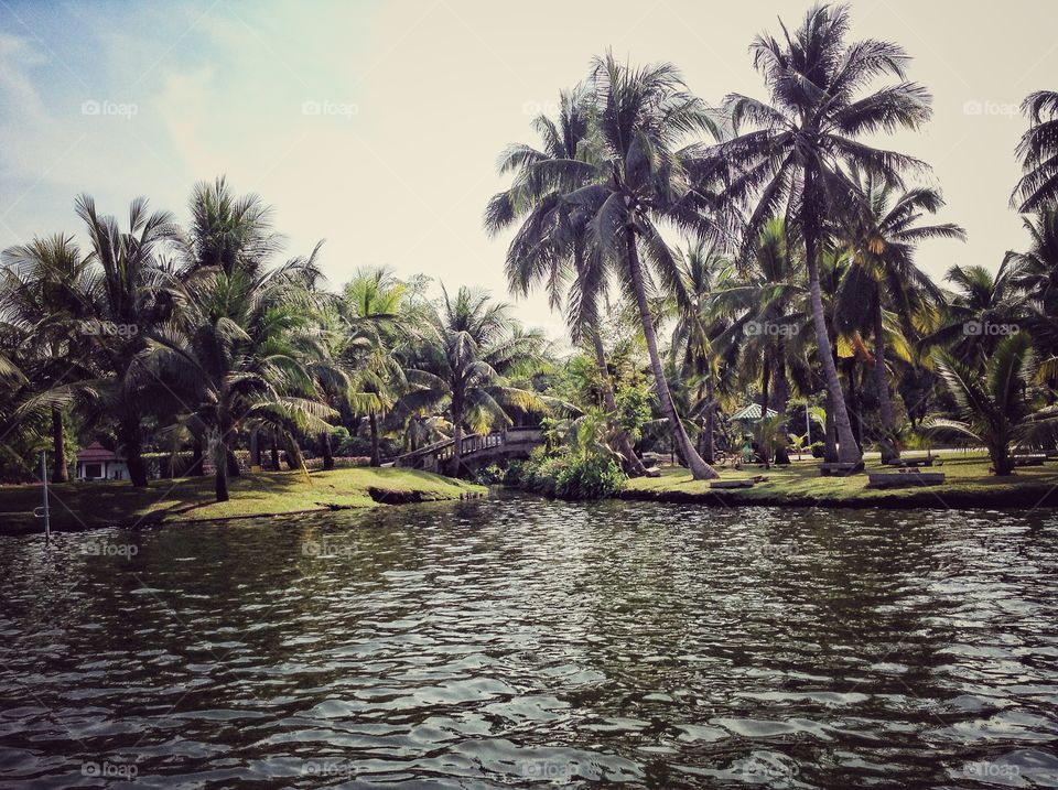 Garden, park. Garden, park