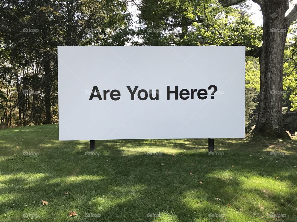 Are you here?