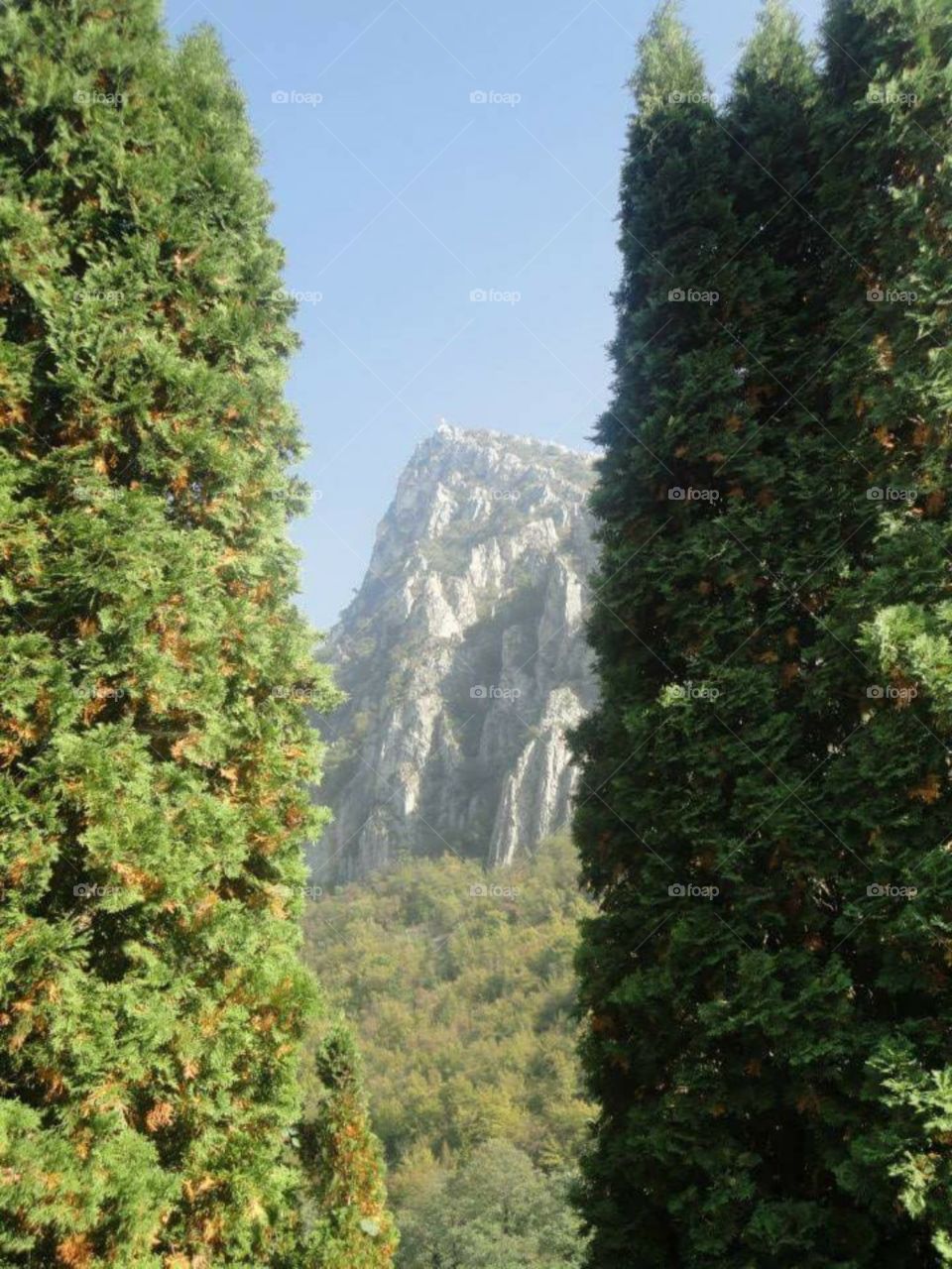 mountain between trees