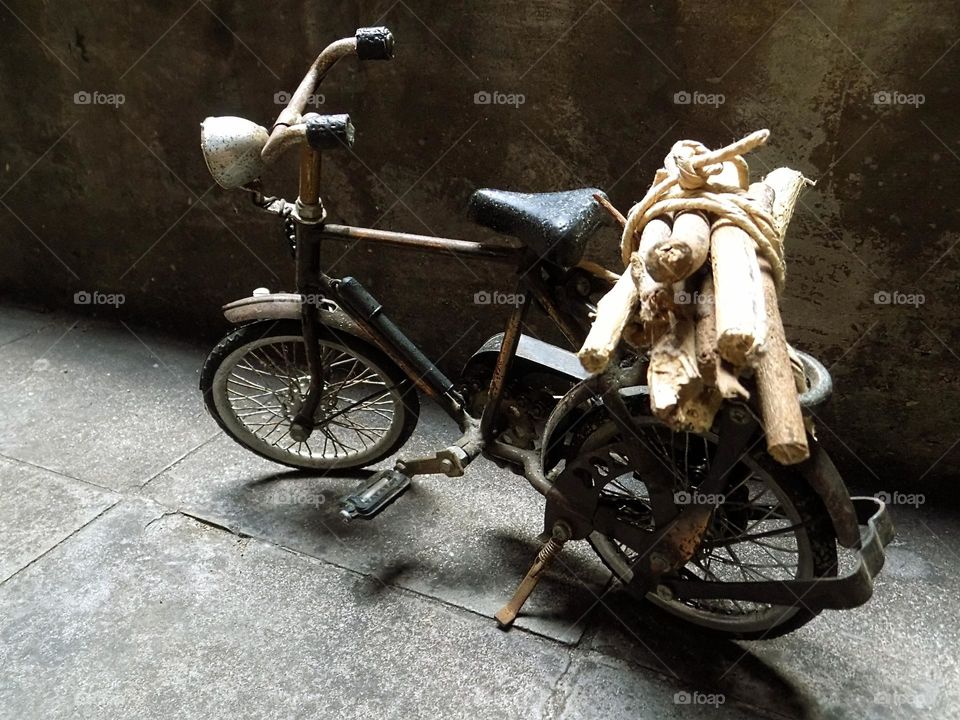 Looking for firewood with an old bicycle