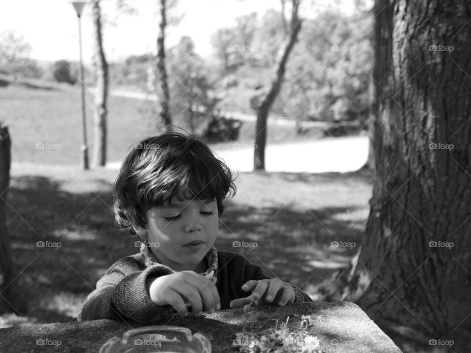 Boy standing near tree trunk