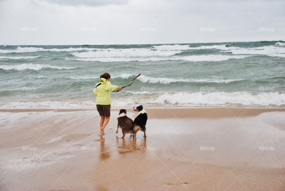 Fetch on Lake Michigan . A woman plays. Fetch with her two dogs as the waves pound the beach on Lake Michigan