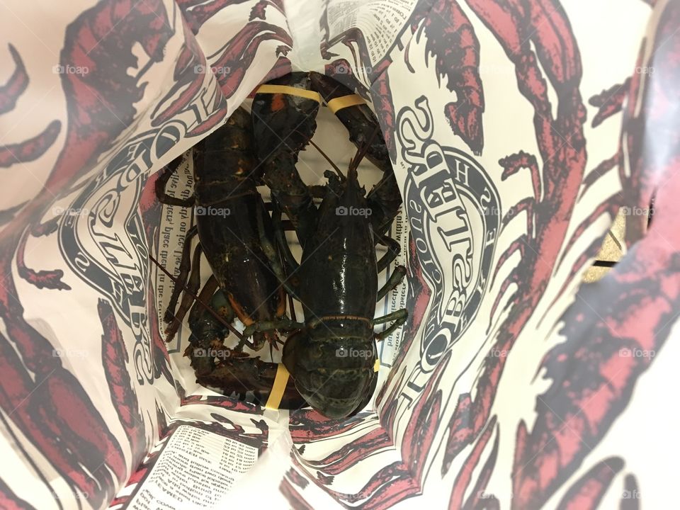 Lobsters 