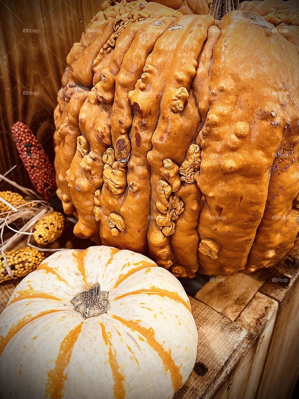 Knucklehead and Tiger Pumpkins 