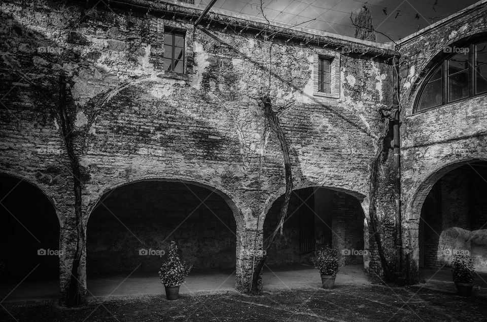 Spanish Cortijo. Old Cortijo and vineyard in Andalucia, Spain
