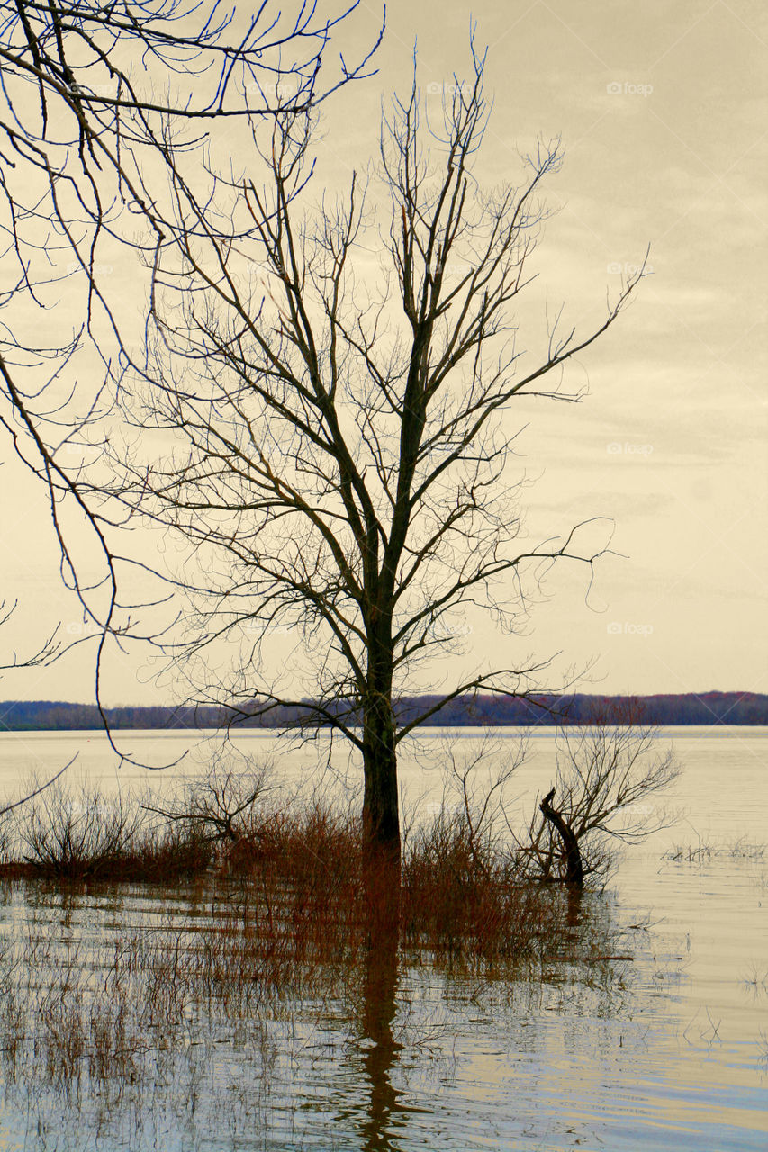 Alone on the Lake ( Series )