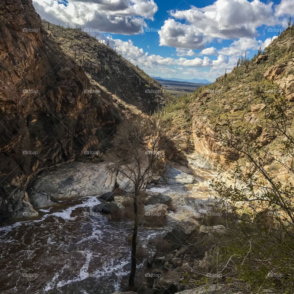 Nature Landscape 